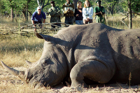 3-Day Livingstone & Chobe Safari Experience with Luxury Stay