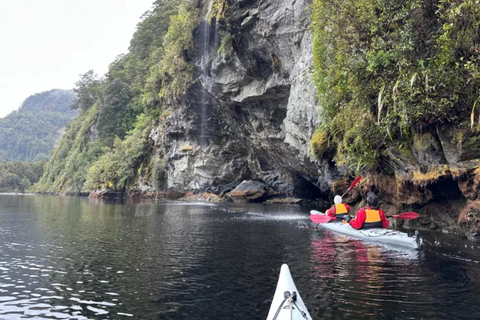 Te Anau: Lake Manapouri Kayak Tour with Water Taxi