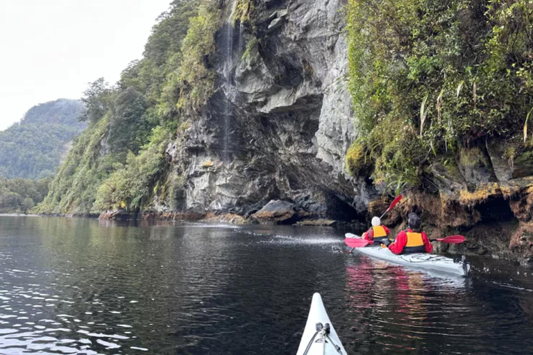 Te Anau: Lake Manapouri Kayak Tour with Water Taxi
