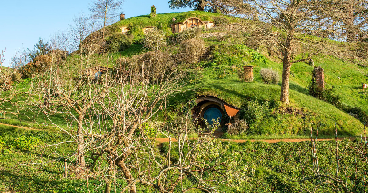 Auckland: Hobbiton Movie Set and Waitomo Glowworm Caves Tour | GetYourGuide