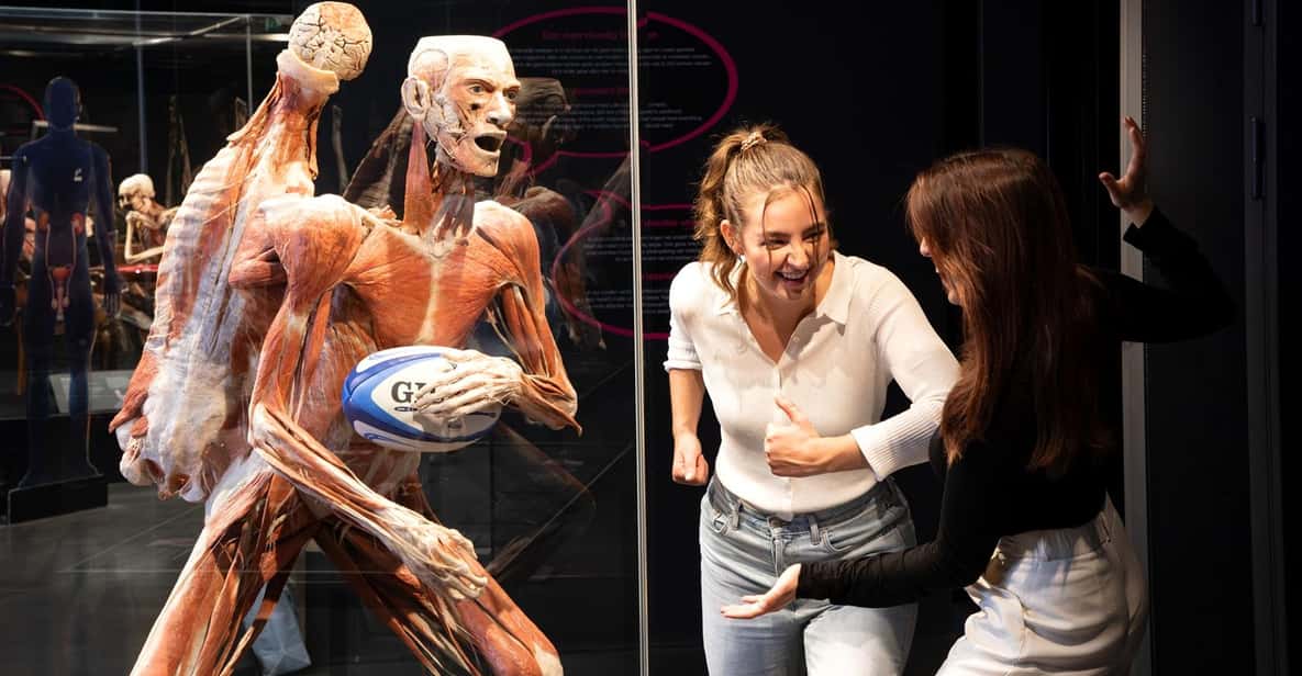 Afbeelding 0 van Body Worlds Amsterdam: The Happiness Project Ticket