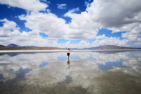 Excursion: Lagoon + National Reserve of Salinas in Arequipa