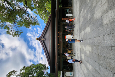 Tour privado de un día por los lugares famosos de TokioVisita Privada de un Día a los Lugares Famosos de Tokio