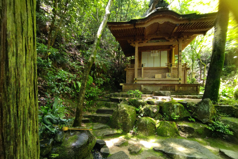 Hiroshima: Parque de la Paz, castillo y templo Mitaki en bicicleta eléctricaHiroshima: Parque de la Paz, Castillo y Templo Mitaki Recorrido en Bicicleta Eléctrica