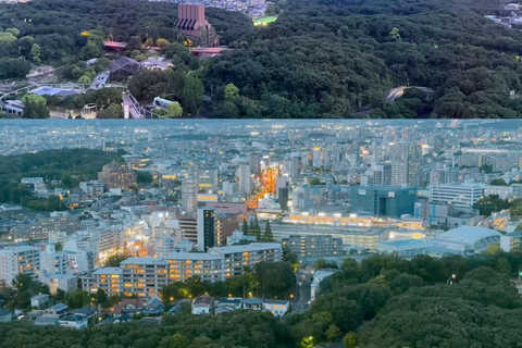 Nagoya: Higashiyama Zoo & Sky Tower Combo Ticket