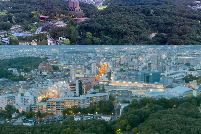 Nagoya: Higashiyama Zoo & Sky Tower Combo Ticket