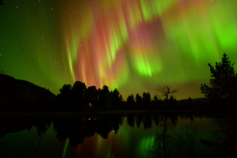 Abisko: Aurora-Jagd mit dem Van in kleinen Gruppen