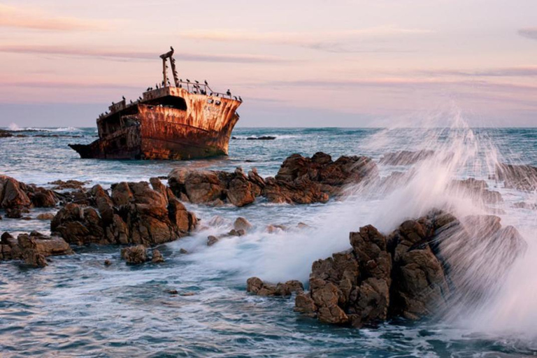 Au départ du Cap : 4 jours d'excursion de luxe sur la Route des jardins