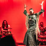 Barcellona: Spettacolo di flamenco a teatro