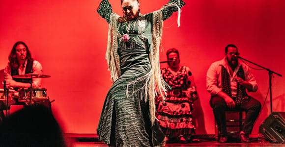 Barcelona: Flamenco Show at the Theater "City Hall"