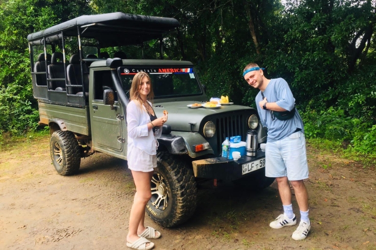 Colombo : Safari en jeep dans le parc national de Minneriya et Kaudulla