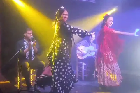 Barcelona: Eksklusivt flamenco-show på El Paraigua med drink