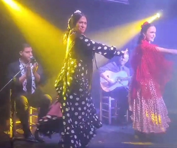 Barcelona: Exclusive Flamenco Show at El Paraigua with Drink