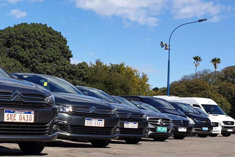 Trasferimento dall&#039;hotel a Montevideo all&#039;aeroporto di Montevideo