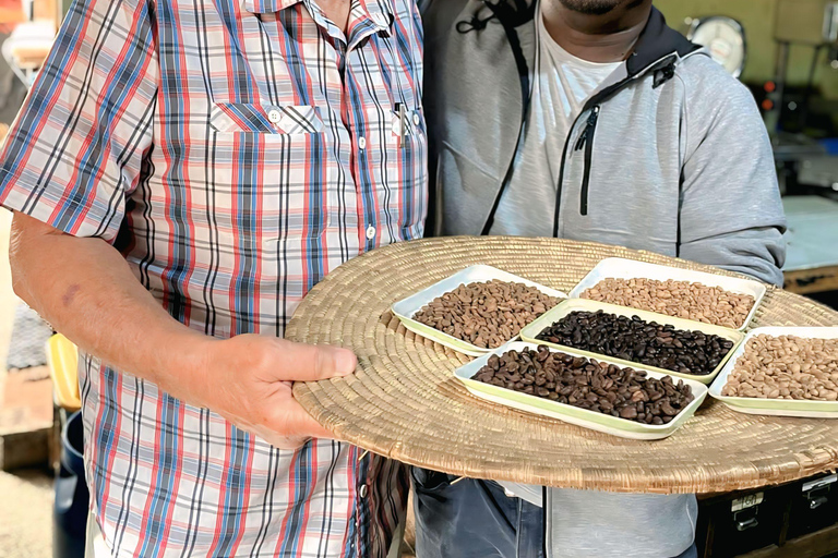 Addis Ababa City Tour & Coffee Ceremony with Shopping areas