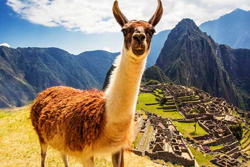 Da Cusco: tour di Machu Picchu di 1 giorno | Spedizioni in treno |