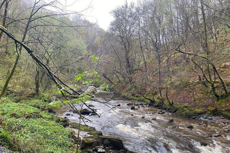 Cardiff: Brecon Beacons &amp; Waterfall Country Private VoyageCardiff: Private Brecon Beacons &amp; Waterfall Country Tour