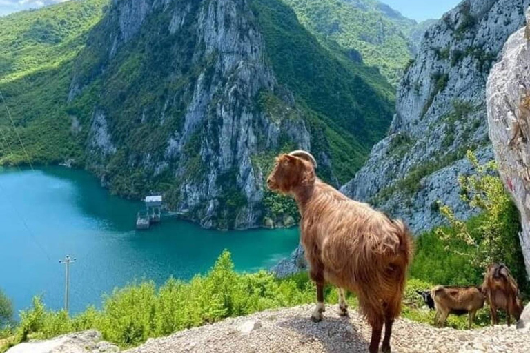 De Tirana: Viagem de 1 dia ao Lago Bovilla com caminhada na montanha Gamti