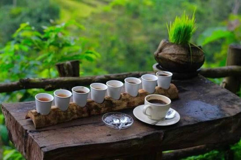 Ubud: Customizable Tirta Empul Melukat Purification Tour Tirta Empul Only: Melukat Ritual & Guided Temple Visit
