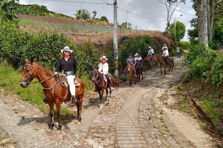 Visite de Cabalgata