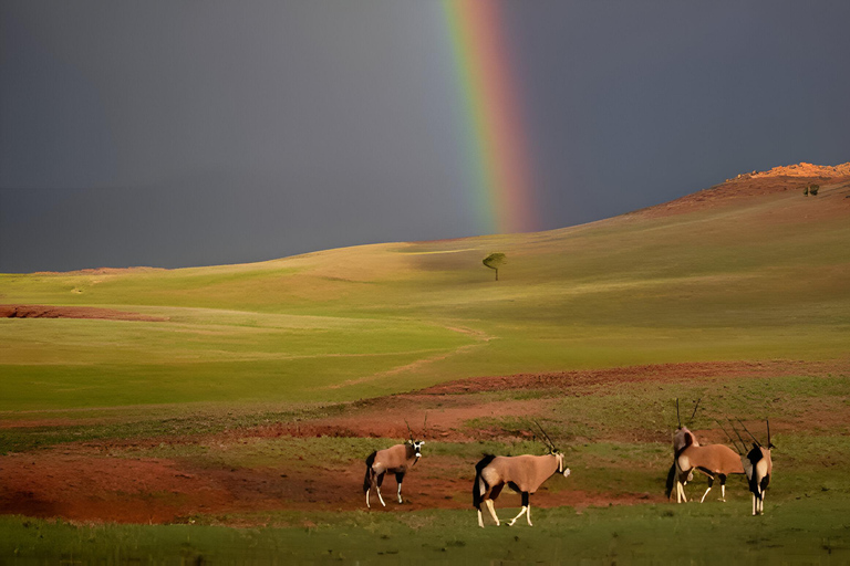 Namib Naukluft Park Trip