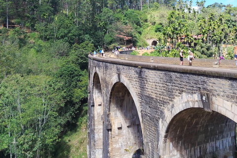 From South Coast: Ella Day Tour with Waterfalls & Monastery