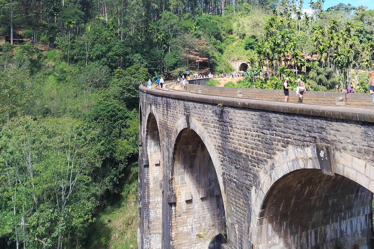 From South Coast: Ella Day Tour with Waterfalls & Monastery