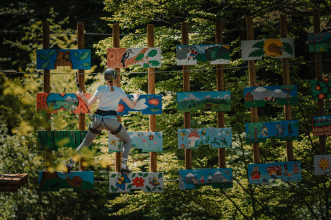 NOD Adventure Park Entry Ticket with 5 Courses & Ziplines