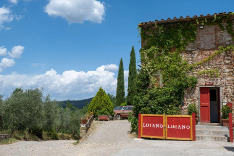 Florence: Chianti E-Bike Tour met Wijnproeverij en Lunch