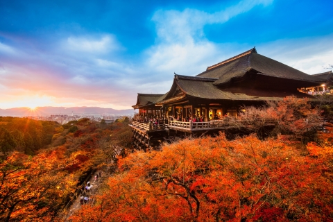 Von Kyoto aus: Sagano-Zugfahrt und geführte Kyoto-TagestourTour mit Mittagsbuffet