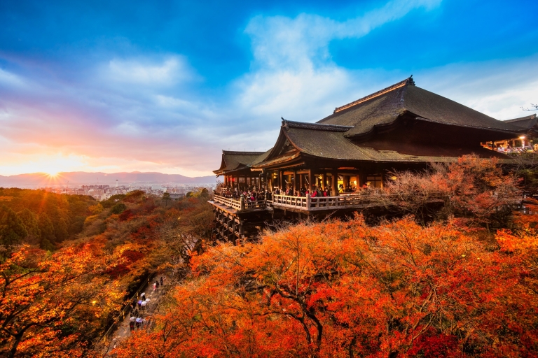 Vanuit Kyoto: Sagano treinreis en begeleide Kyoto dagtourTour met lunchbuffet