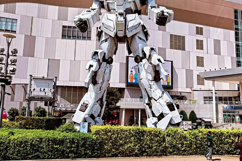 Tokyo Private Sightseeing Tour Customizable with Guide