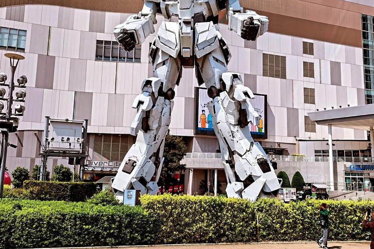 Tokyo Private Sightseeing Tour Customizable with Guide