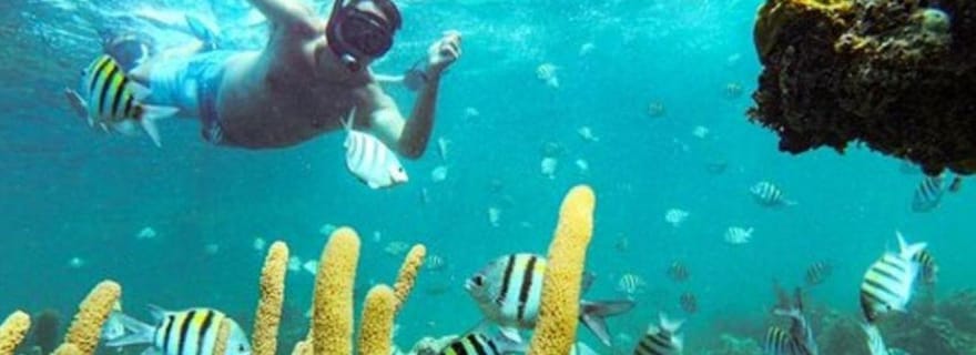 Punta Cana : Aventure en bateau et plongée avec masque et tuba