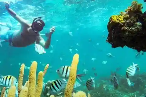 Punta Cana: Party Boat and Snorkeling Adventure