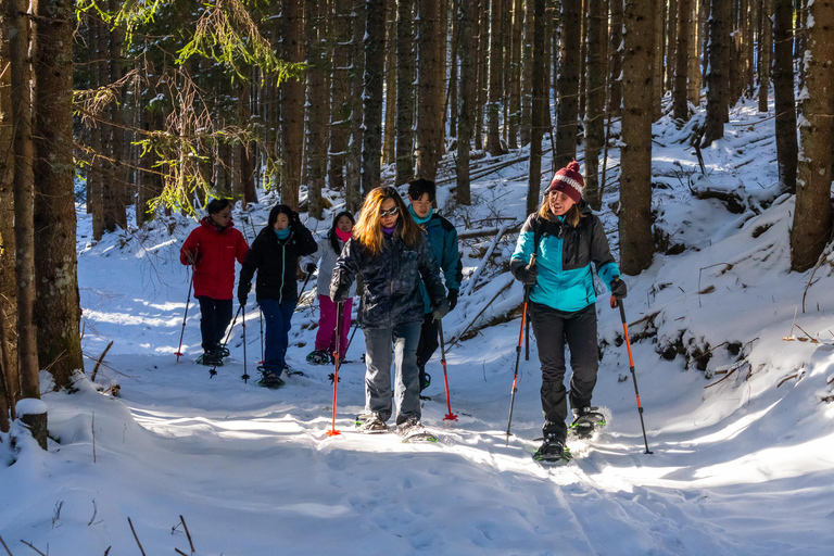 From Ljubljana/Bled: Beginner Snowshoe in Julian Alps From Bled - pickup at your accommodation