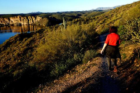Mesa: Saguaro Lake View Hike