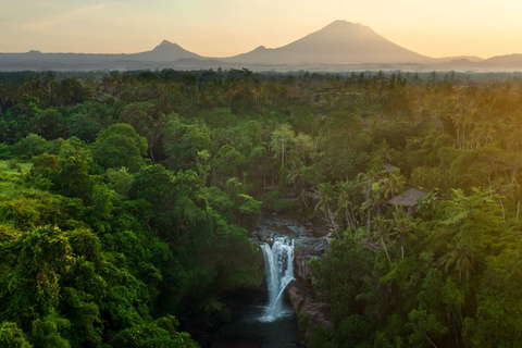 Excursão de dia inteiro a Ubud com carro particularPasseio em Ubud com taxa de entrada incluída