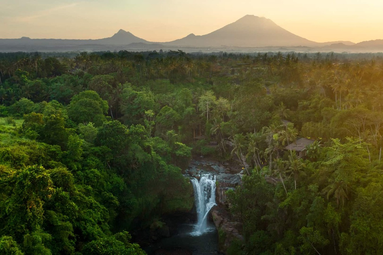 Ubud heldagstur med privat bilUbud-tur inklusive inträdesavgift