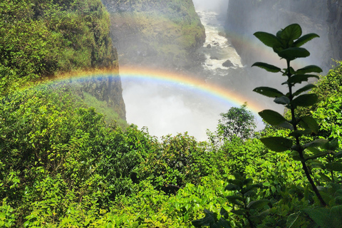 Victoria Falls Guided Walking Tour: Zimbabwe & Zambia