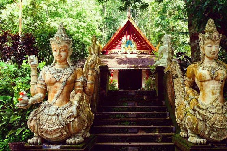 Visite du Doi Suthep et du temple Wat Pha Lat en soirée