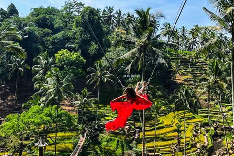Ubud Swing: esplora la campagna di Ubud e assaggia il caffè