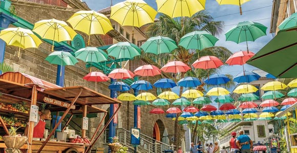 Mauritius: Port Louis and Northern Highlights Full-Day Trip