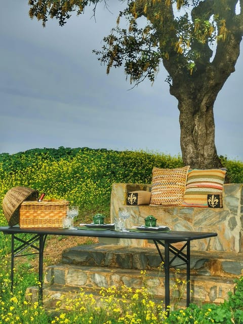 Mrtola's Stunning Countryside Picnic yakınlarında yapılacak şeyler - Hizvo