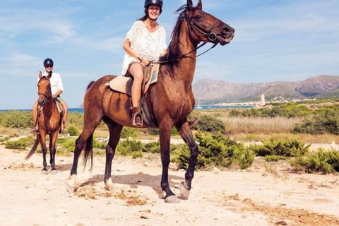 Alanya: Unique Horse Safari Experience in the Taurus Mountains with Transport Alanya: Unique Horse Safari Experience in the Taurus Mountains + Transfer