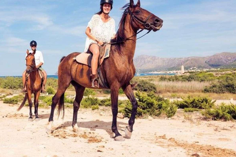Alanya: Unique Horse Safari Experience in the Taurus Mountains with Transport Alanya: Unique Horse Safari Experience in the Taurus Mountains + Transfer