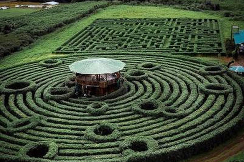 Río Celeste and Katira Labyrinth experience