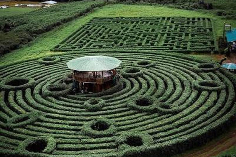 Río Celeste and Katira Labyrinth experience