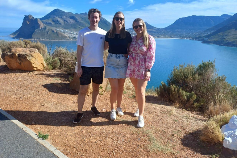 ROBBEN ISLAND &amp; CAPE OF GOOD HOPE,PINGVINER