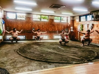 Tokio, visita de entrenamiento matutino de Sumo - Hizvo